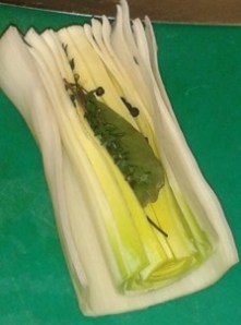 Bouquet garni - ingrédients