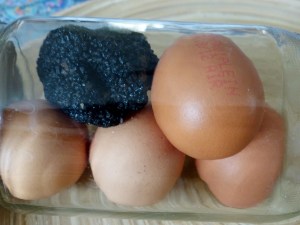 oeuf et truffe